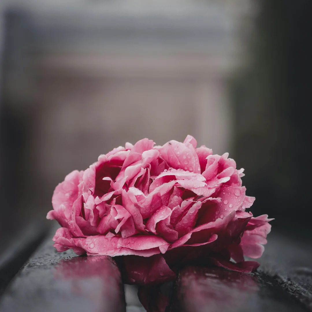 Traiteur et service pour veillée funéraire et obsèques, Var et 06