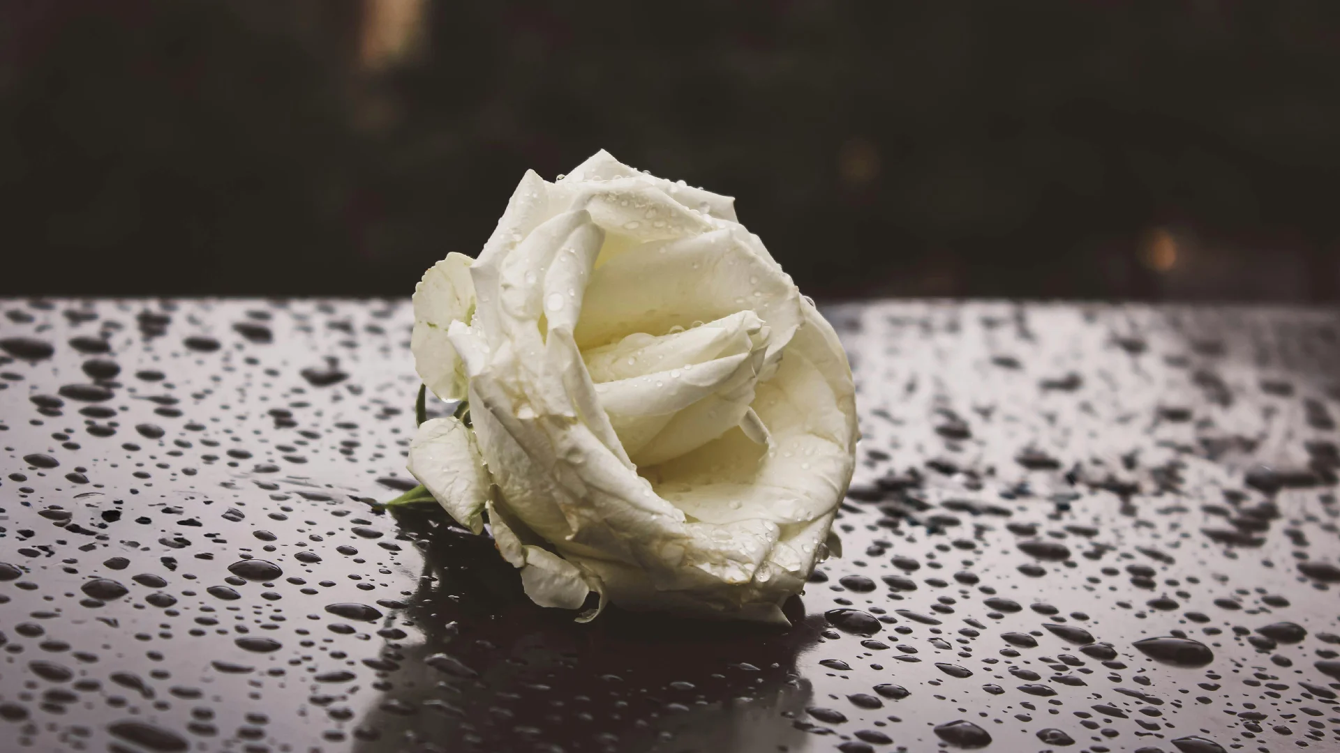 Intendance pour réception après enterrement Var